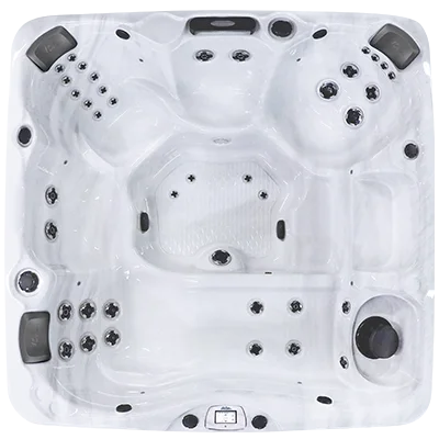 Avalon-X EC-840LX hot tubs for sale in Philadelphia