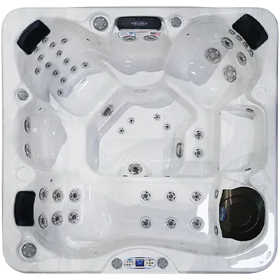 Avalon EC-849L hot tubs for sale in Philadelphia