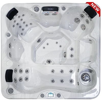 Avalon-X EC-849LX hot tubs for sale in Philadelphia