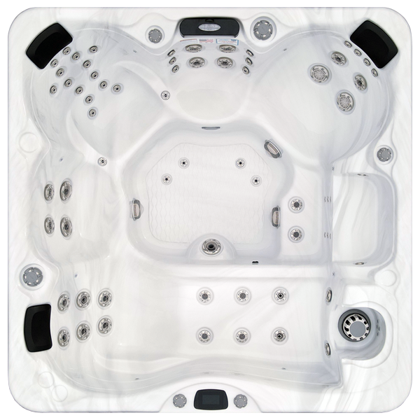 Avalon-X EC-867LX hot tubs for sale in Philadelphia